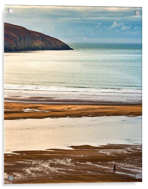 Cardigan Estuary, Pembrokeshire, Wales, UK Acrylic by Mark Llewellyn