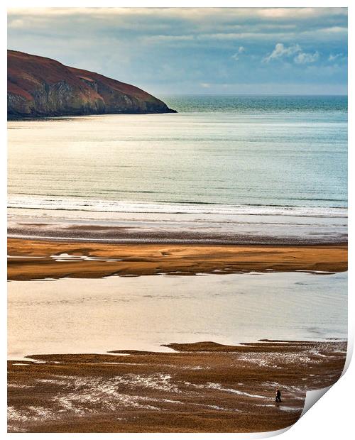 Cardigan Estuary, Pembrokeshire, Wales, UK Print by Mark Llewellyn