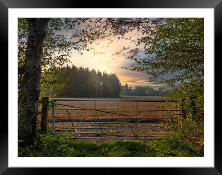 Sunset Gate, Pembrokeshire, Wales, UK Framed Mounted Print by Mark Llewellyn