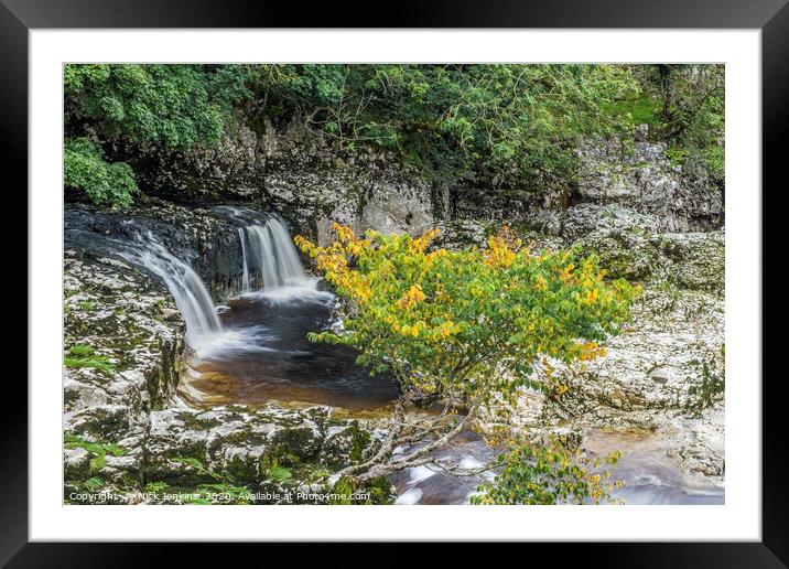 Linton Falls near Grassington Yorkshire Dales Framed Mounted Print by Nick Jenkins