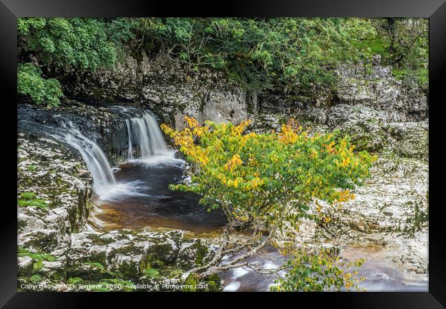 Linton Falls near Grassington Yorkshire Dales Framed Print by Nick Jenkins