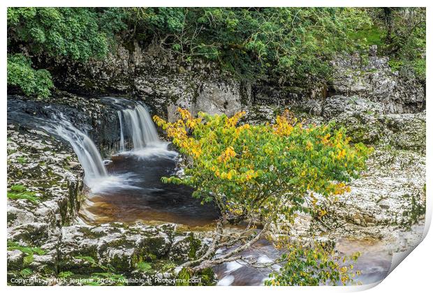 Linton Falls near Grassington Yorkshire Dales Print by Nick Jenkins