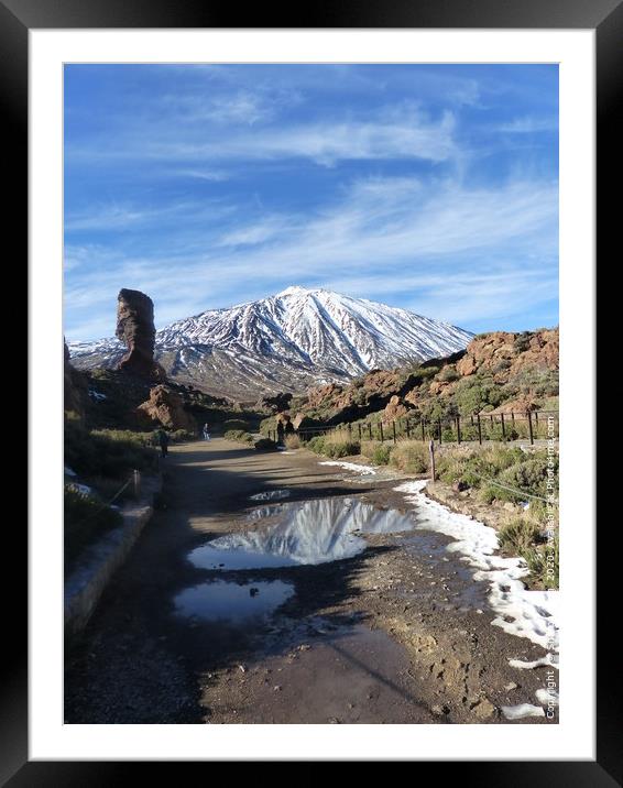 Mount Teide Framed Mounted Print by Photography by Sharon Long 