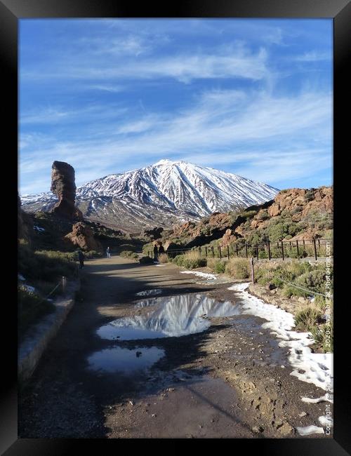 Mount Teide Framed Print by Photography by Sharon Long 