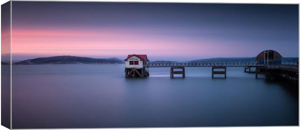 Mumbles pier and lifeboat station in Swansea Canvas Print by Leighton Collins