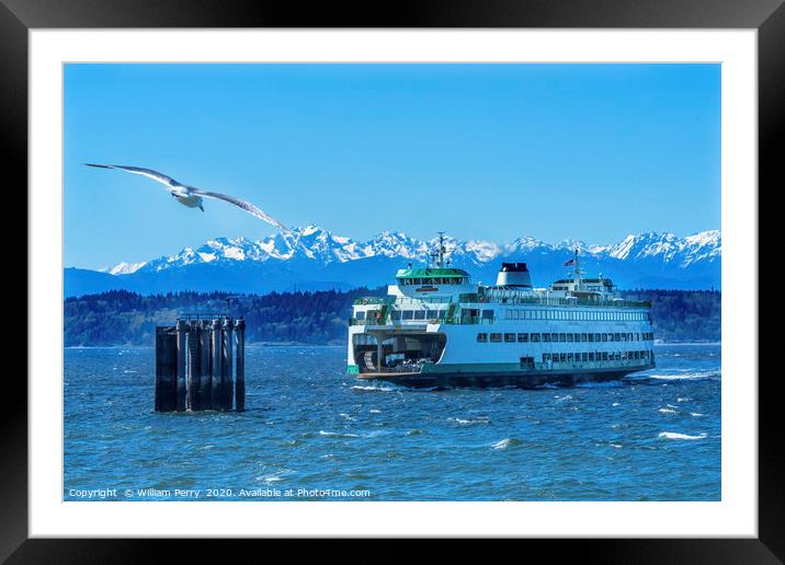 Seagull Washington State Ferry Olympic Mountains E Framed Mounted Print by William Perry