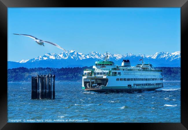 Seagull Washington State Ferry Olympic Mountains E Framed Print by William Perry