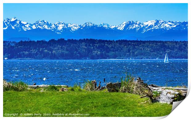 Sailboat Olympic Mountains Edmonds Washington Print by William Perry