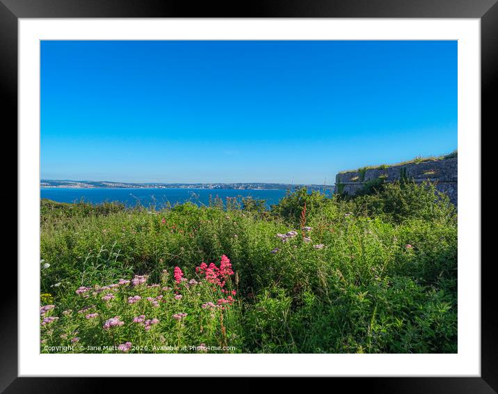 A View  out to Sea  Framed Mounted Print by Jane Metters