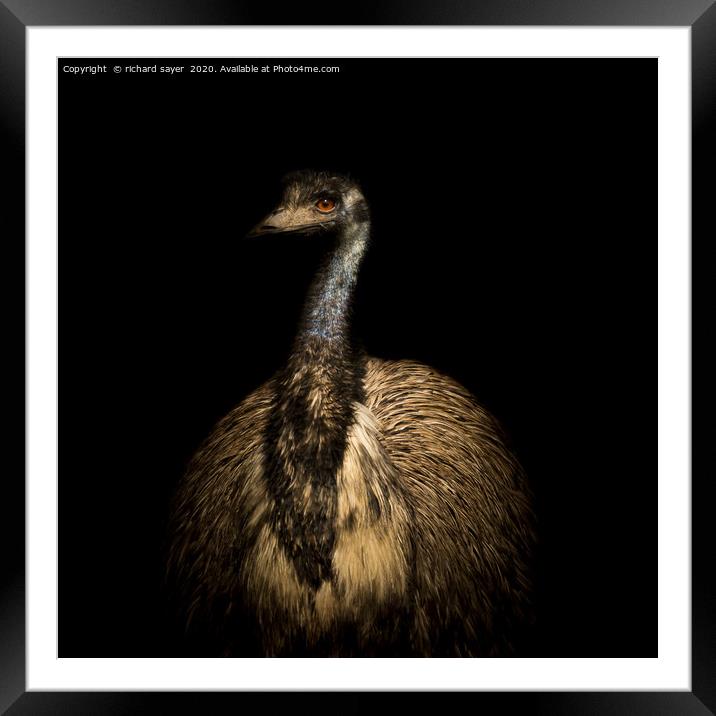 Emu Portrait Framed Mounted Print by richard sayer
