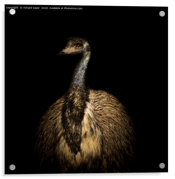 Emu Portrait Acrylic by richard sayer
