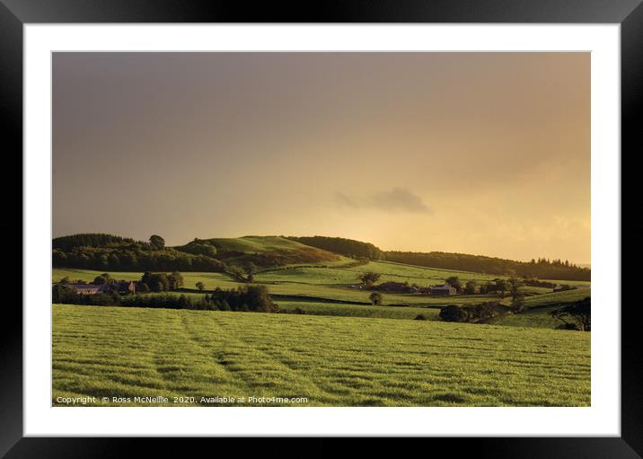 Sun-kissed Downans - an Ayrshire sunset.  Framed Mounted Print by Ross McNeillie