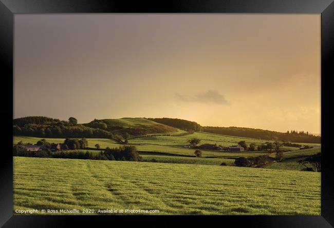 Sun-kissed Downans - an Ayrshire sunset.  Framed Print by Ross McNeillie