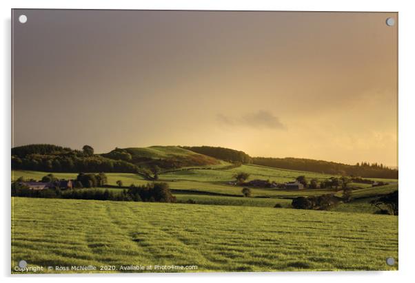 Sun-kissed Downans - an Ayrshire sunset.  Acrylic by Ross McNeillie