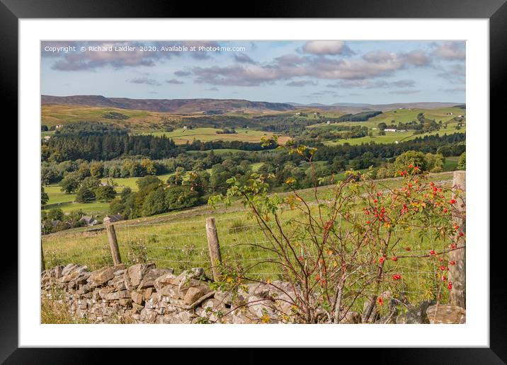 Upper Teesdale from Miry Lane in Early Autumn Framed Mounted Print by Richard Laidler