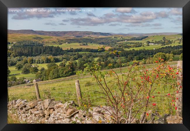 Upper Teesdale from Miry Lane in Early Autumn Framed Print by Richard Laidler
