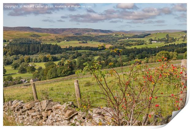 Upper Teesdale from Miry Lane in Early Autumn Print by Richard Laidler
