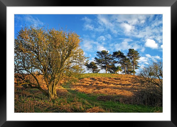 Colmers Hill                      Framed Mounted Print by Darren Galpin