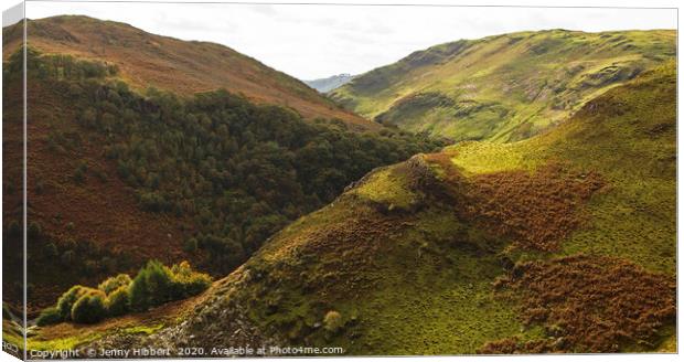 Hills in Wales near Elan Valley Canvas Print by Jenny Hibbert
