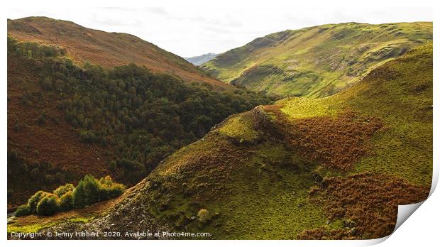 Hills in Wales near Elan Valley Print by Jenny Hibbert