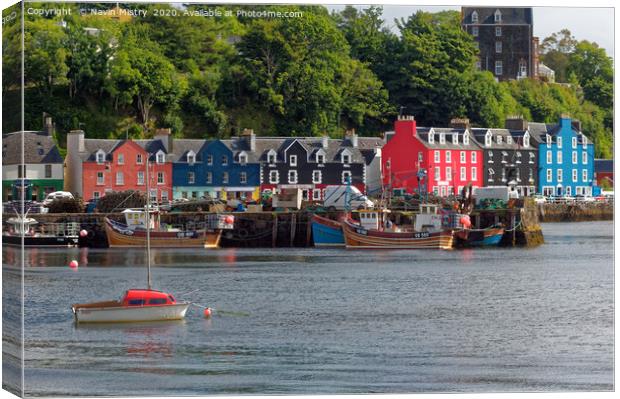 Tobermory Harbour, Isle of Mull, Scotland Canvas Print by Navin Mistry