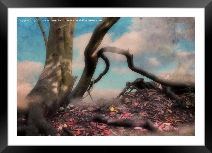 In A Dream Framed Mounted Print by Christine Lake