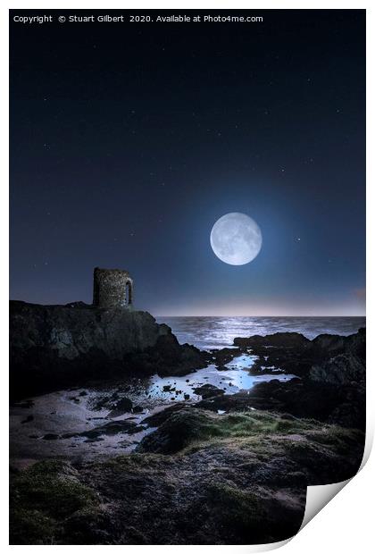 Lady Janet in the moonlight Print by Stuart Gilbert