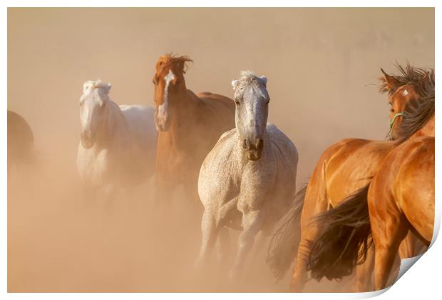 Nice herd gallops in the dust Print by Arpad Radoczy