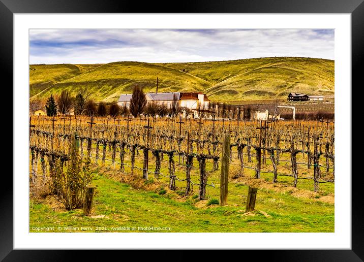 Winery Winter Vineyards Red Mountain Benton City W Framed Mounted Print by William Perry