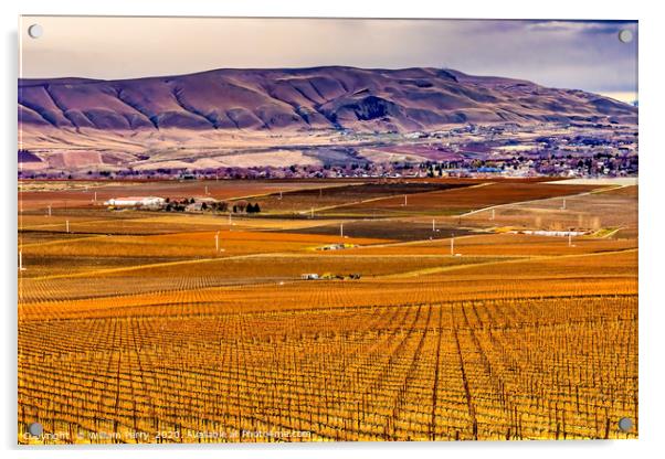 Winter Vineyards Red Mountain Benton City Washi Acrylic by William Perry