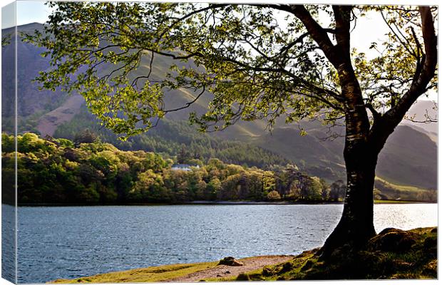 Buttermere and Hassness House Canvas Print by David Lewins (LRPS)