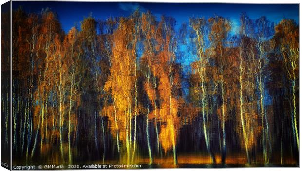 autumn reflection Canvas Print by Maria Galushkina