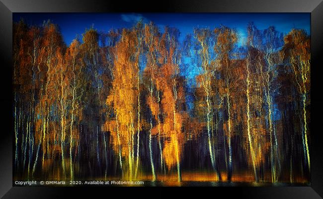 autumn reflection Framed Print by Maria Galushkina