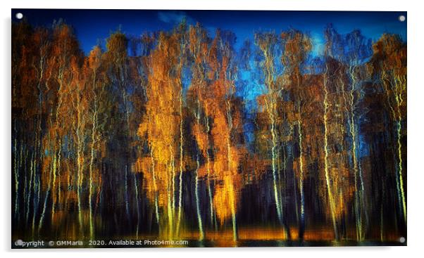 autumn reflection Acrylic by Maria Galushkina