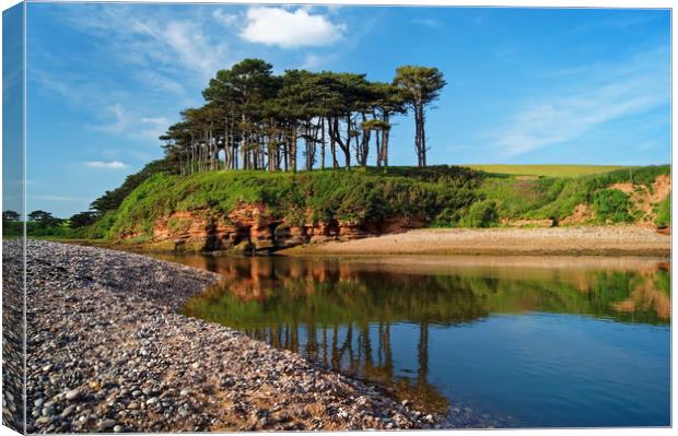 River Otter reflections at Budleigh Salterton      Canvas Print by Darren Galpin