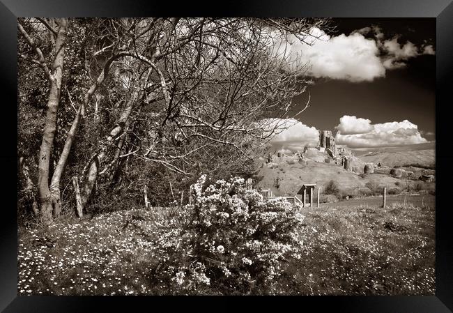 Corfe Castle View                       Framed Print by Darren Galpin