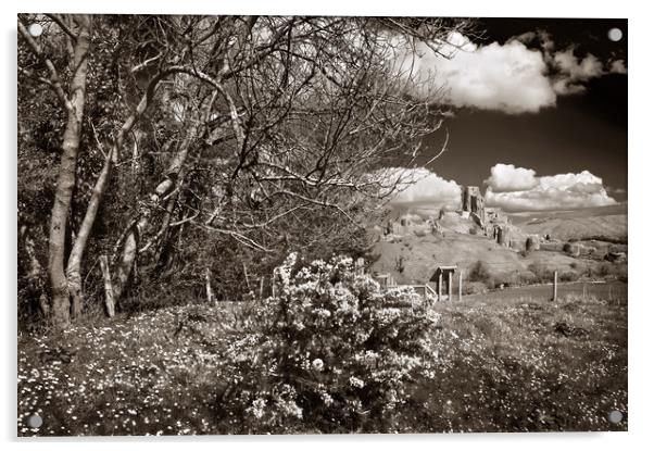 Corfe Castle View                       Acrylic by Darren Galpin