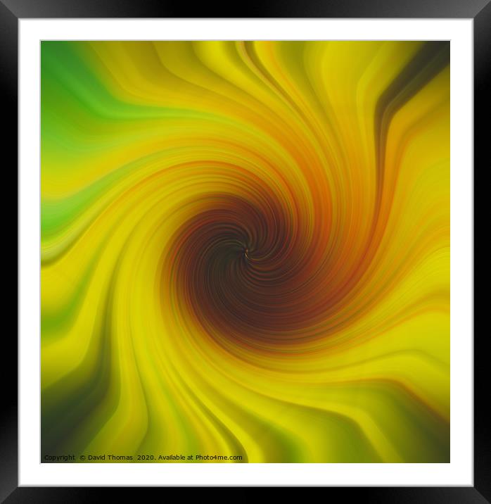 Radiant Sunflower Bloom Framed Mounted Print by David Thomas