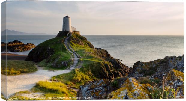 Twr Mawr Goldenhour Lighthouse on Anglesey Canvas Print by Liam Neon