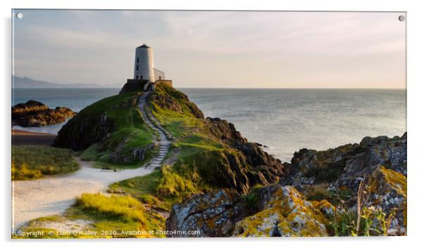 Twr Mawr Goldenhour Lighthouse on Anglesey Acrylic by Liam Neon