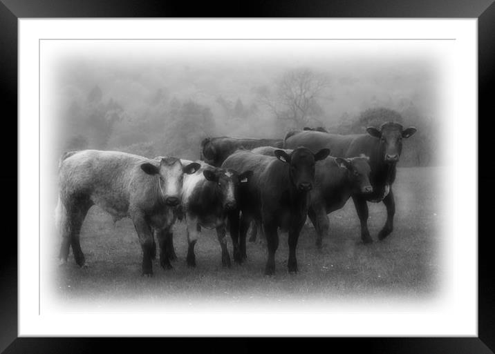COWdenBEEF team photo Framed Mounted Print by Martin Parkinson