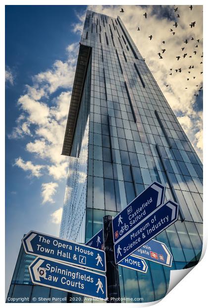 Manctopia, Bird Tower Print by Steven Purcell