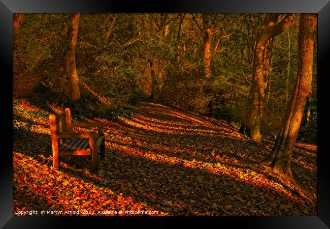 An Autumn Woodland Walk Framed Print by Martyn Arnold