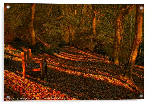 An Autumn Woodland Walk Acrylic by Martyn Arnold