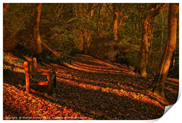 An Autumn Woodland Walk Print by Martyn Arnold
