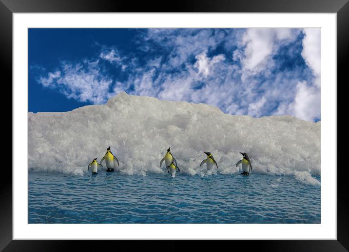 Penguin Day Out 1 Framed Mounted Print by Steve Purnell