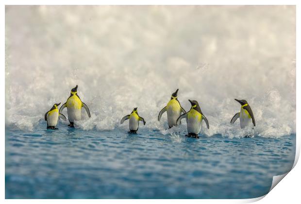 Penguin Day Out 2 Print by Steve Purnell