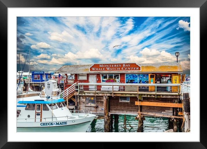 Monterey Bay Whale Watching Center Framed Mounted Print by Darryl Brooks
