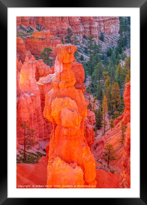 Thor's Hammer Hoodoo Sunset Point Bryce Canyon Nat Framed Mounted Print by William Perry
