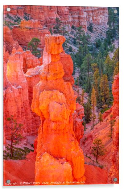 Thor's Hammer Hoodoo Sunset Point Bryce Canyon Nat Acrylic by William Perry